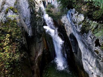 Scenic view of waterfall in forest