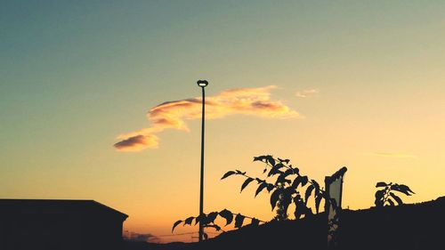 Silhouette of plant against sky during sunset