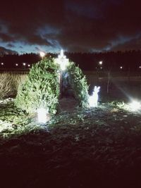 Illuminated trees on field against sky at night