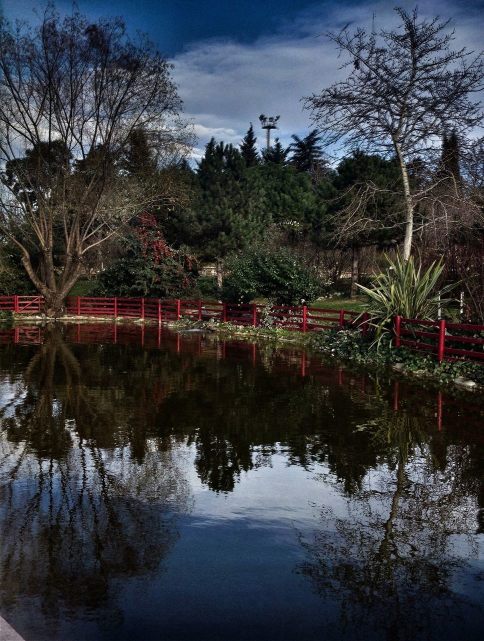 water, tree, reflection, lake, tranquility, sky, waterfront, tranquil scene, beauty in nature, scenics, nature, bare tree, river, branch, growth, cloud - sky, idyllic, calm, cloud, day