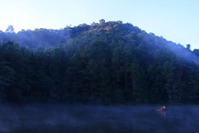 Scenic view of trees against sky