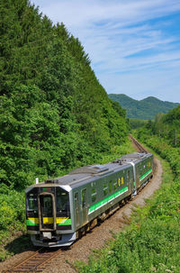 Blue sky, green trees and local train