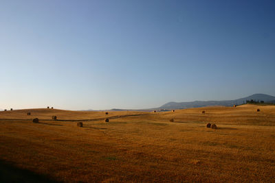Scenic view of field against skyin tuscany