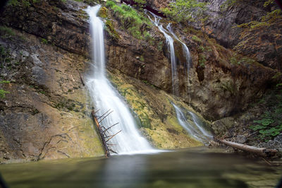 Scenic view of waterfall in forest