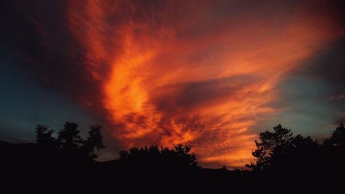 Silhouette of trees against cloudy sky