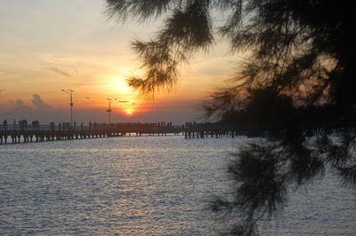 Silhouette trees by sea against sky during sunset