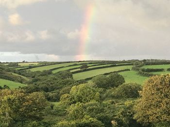 Scenic view of agricultural field against rainbow in sky