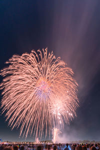 Firework display at night