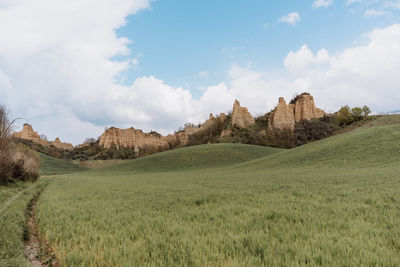 Scenic view of field against sky