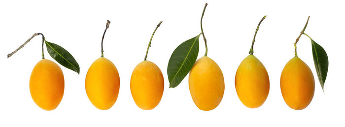 Close-up of pastries against white background