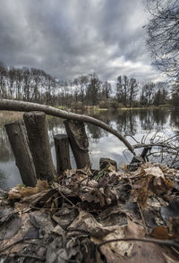 Scenic view of lake by trees against sky