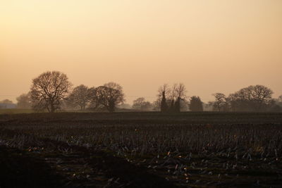 Scenic view of field against sky during sunset