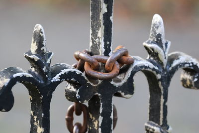 Close-up of rusty chain on metal fence during winter