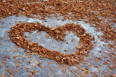 High angle view of heart shape on stone