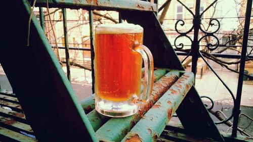 Close-up of tree stump