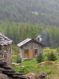 House on mountain by trees in forest
