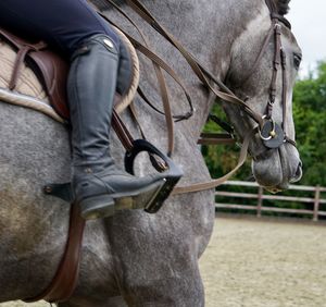 Low section of person standing by horse