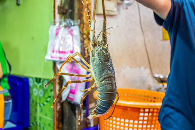 Fresh-caught seafood for sale at a street market