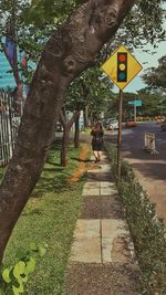 Road sign by trees on footpath