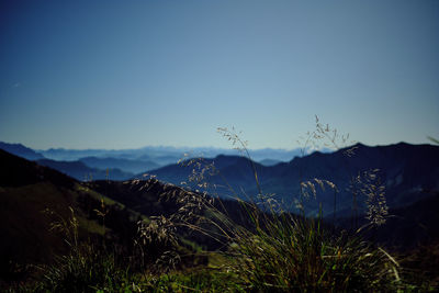 Scenic view of field against clear blue sky