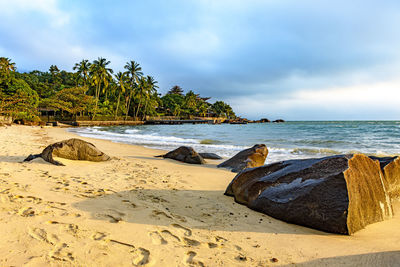 Scenic view of beach against sky at afternoon