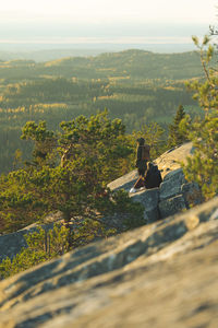 Rear view of woman sitting on rock