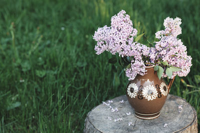 Close-up of flower pot on table