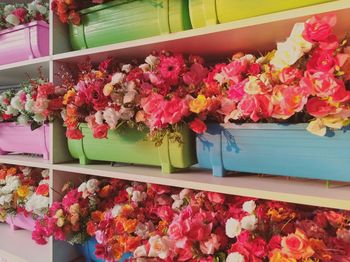 Pink flowering plants at store