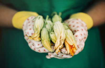 Close-up of hand holding leaf