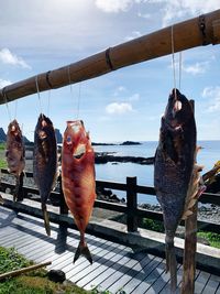 View of fish in sea against sky