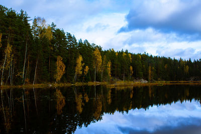 Reflection of trees in lake against sky