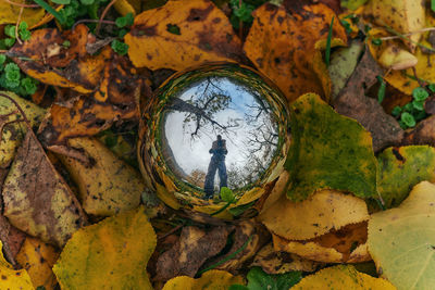 Digital composite image of man standing by tree during autumn