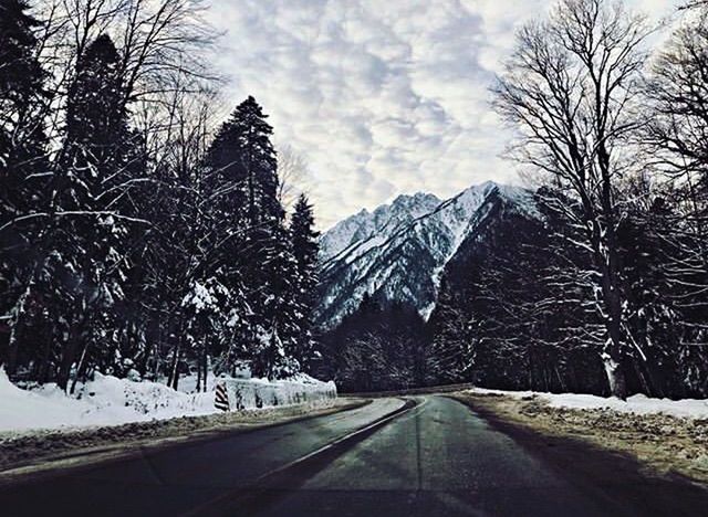 snow, tree, cold temperature, road, winter, transportation, plant, direction, the way forward, nature, no people, beauty in nature, sky, scenics - nature, diminishing perspective, mountain, day, tranquil scene, tranquility, outdoors, snowcapped mountain