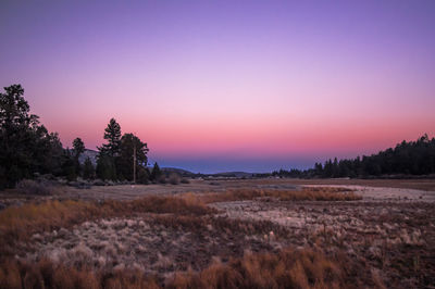 Scenic view of landscape against clear sky