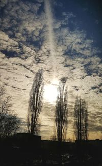Low angle view of silhouette trees on field against sky