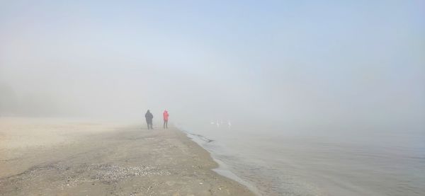 Rear view of people walking on snow covered land