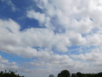 Low angle view of trees against blue sky