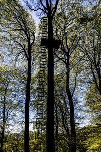 Low angle view of bare trees