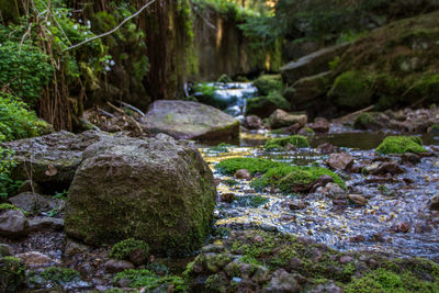 Stream flowing through rocks in forest