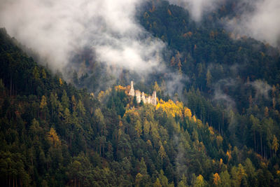 Scenic view of forest against sky during autumn