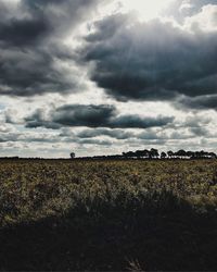 Field against sky