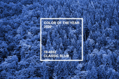 Close-up of information sign on snow