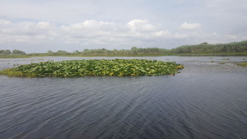 Scenic view of lake against sky