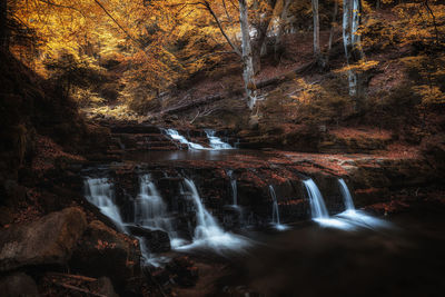 Scenic view of waterfall in forest