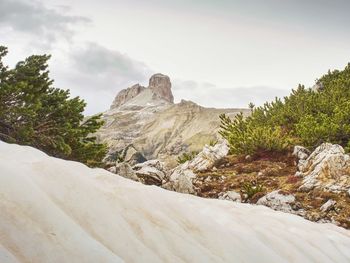 View of trees and rocks against cloudy sky