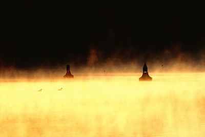 Silhouette birds on illuminated water at night