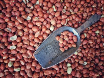 Directly above view of scoop on peanuts for sale