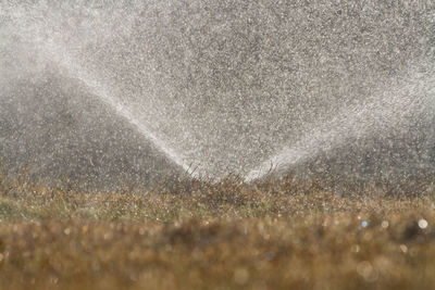 Close-up of water