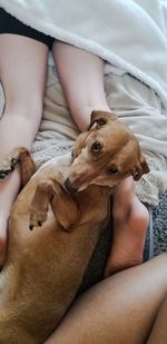 Midsection of woman with dog relaxing on bed