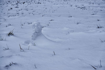 Scenic view of snow covered landscape